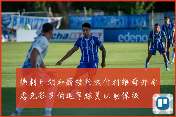 热刺计划加薪续约武什科维奇并考虑免签罗伯逊等球员以助保级