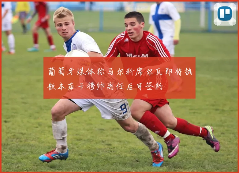 葡萄牙媒体称马尔科席尔瓦即将执教本菲卡穆帅离任后可签约