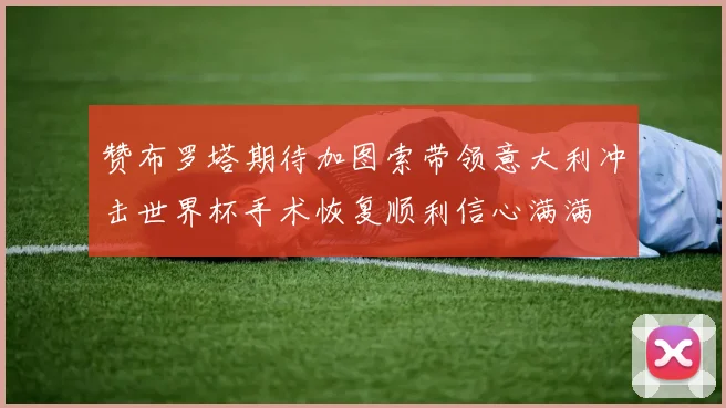 赞布罗塔期待加图索带领意大利冲击世界杯手术恢复顺利信心满满
