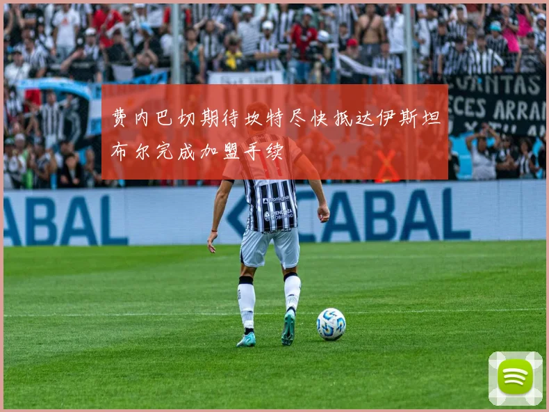 费内巴切期待坎特尽快抵达伊斯坦布尔完成加盟手续
